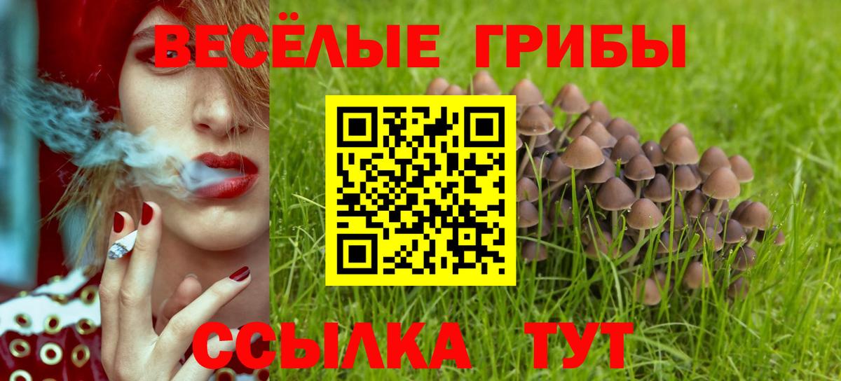 Галлюциногенные грибы мухоморы Заволжье