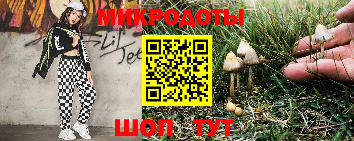 Заволжье  Псилоцибиновые грибы мицелий  Вход с VPN 