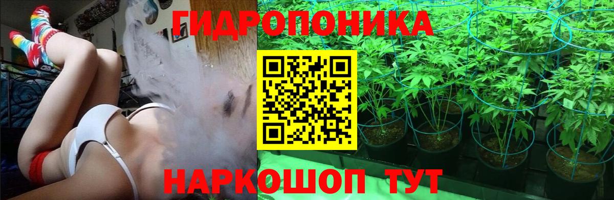 Шишки марихуана LSD WEED  Конопля конопля  Заволжье  Вход с VPN  Шишки марихуана THC 21% 